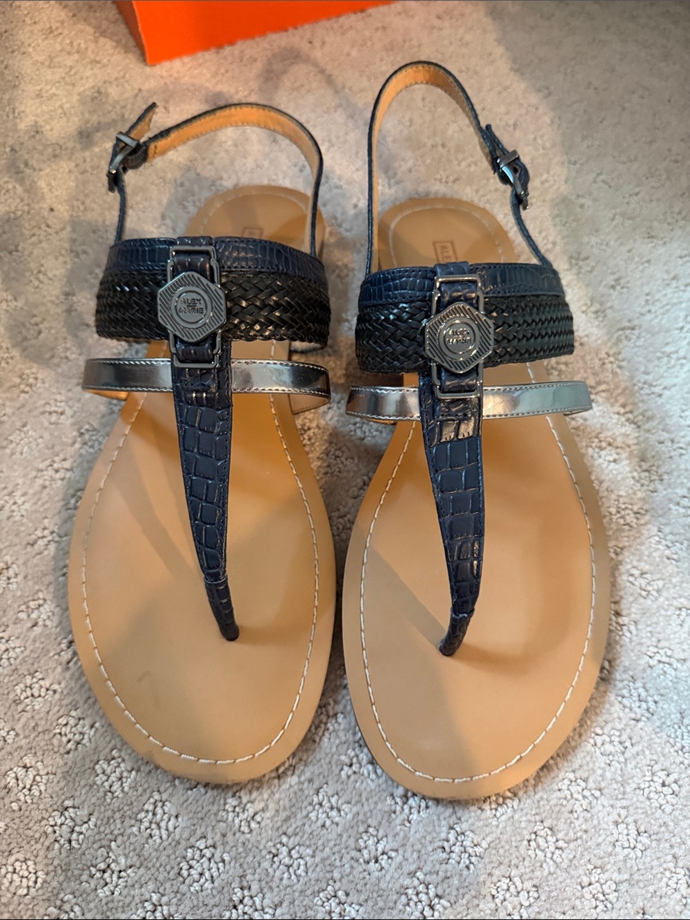 Alex Marie Navy and Tan T-Strap Sandals with Silver Accent